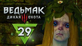 КОРОЛЬ ВОРОВ Ведьмак 3: Дикая Охота - прохождение - #29 - Максимальная сложность