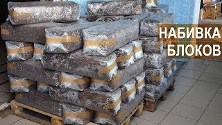 Станок для формирования грибных блоков. Агрофирма "Грибы "Урала"