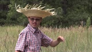 Hey Seed Sower