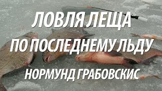 РЫБАЛКА ПО ПОСЛЕДНЕМУ ЛЬДУ НА ЛЕЩА С НОРМУНДОМ ГРАБОВСКИСОМ В МАРТЕ