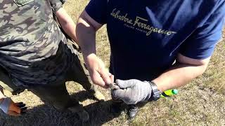Видео от подписчика. Катушка для TX 850