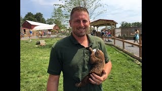 Animal Adventures with Jordan: Two-toed Sloths