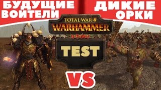 Будущие воители VS Дикие орки | Тесты Total War: Warhammer