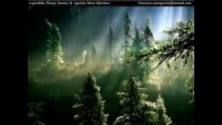 Muestra de Arte Sonoro, Paisaje Sonoro, "El bosque"