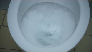 5 News Investigates: Are some children being denied toilet use in schools?