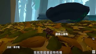 《台灣特有種2》《觀霧山椒魚》 微視界