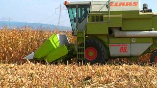 John Deere + Claas Bayachevo