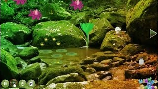 Dumpy Frog Escape walkthrough Hidden O Games.
