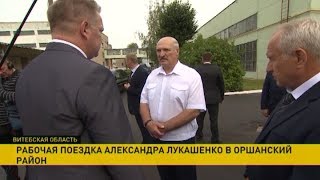 Рабочая поездка Президента Беларуси в Оршанский район