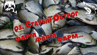 Русская рыбалка 4 Стрим оз. Старый Острог ФАРМ ФАРМ ФАРМ...