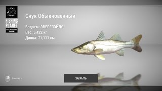 СНУК ОБЫКНОВЕННЫЙ Эверглэйдс FishingPlanet 2017