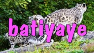 orchestre batiyaye extraodinaire