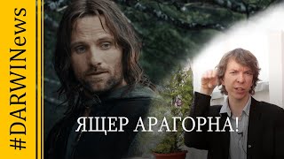От кого произошел Танистрофей. Ярослав Попов 