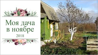 Моя дача в Ноябре 2018. Кострома.