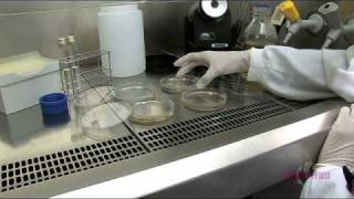 Scharlau :: Analysis of Water