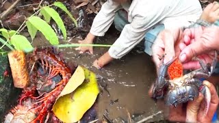 Travel, Uncut travel Log Video. Dawj Roob Ris. (HD)