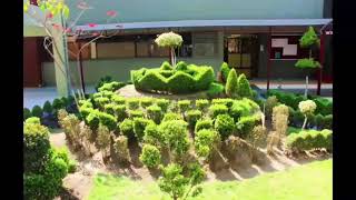 INSTITUTO POLITÉCNICO NACIONAL CECYT NO.13 RICARDO FLORES MAGÓN