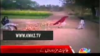Education suspended in Layya school in Punjab, girls being asked to do work Video Dailymotion