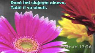Lidia Neagoe - Te caut Isus