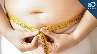 Should We Stop Calling Obesity a 'Disease'?