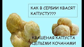 КАПУСТА квашеная целыми кочанами по-сербски.