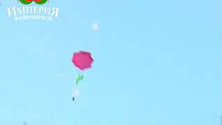 Дневной фейерверк «Волшебный дождь»