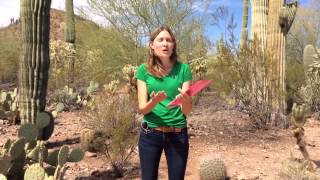 Veronica Nixon - GIS Specialist - Desert Botanical Garden