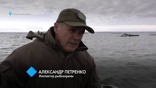 Шлагбаумы и браконьеры: с 1 ноября ловля рыбы в зимовальных ямах под запретом