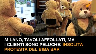 Milano, tavoli affollati, ma i clienti sono peluche: insolita protesta del Biba Bar
