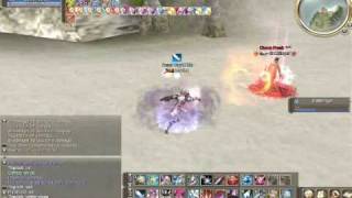Shillien Templar PVP