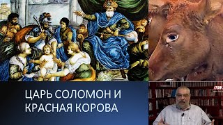 Библейские тайны: Царь Соломон и красная корова