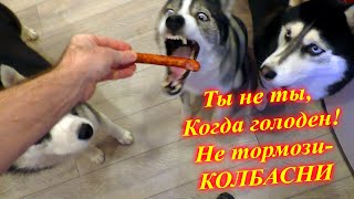?Люлей для Зевса?