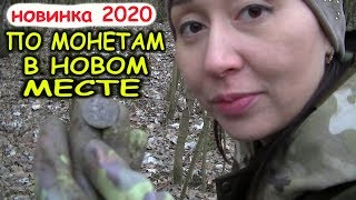 Коп 2020 Поиск монет в лесу на новом месте Металлоискатель MD-6350 и Nokta Makro Anfibio Multi
