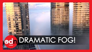Spectacular Blanket of Fog Leaves City of Toronto Invisible