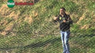 Gagauzia - Iskra-Stal 3-0 (02.04.2011)