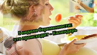 5 неделя беременности: что происходит – Календарь