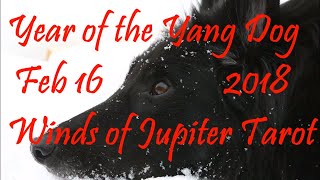 Horse 2018 Chinese New Year Reading - Born 1942, 1954, 1966, 1978, 1990, 2002, 2014 – Learning Love