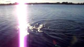 Lough Gara angling club