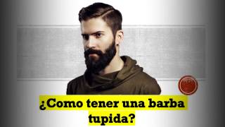 Crecer rapidamente la barba con bergamota, mejor que el minoxidil