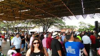 Tejano Conjunto Festival 2016