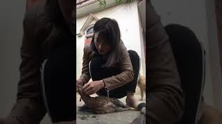 Women slaughter chicken..  Subscribe please...