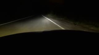Лампы в оптике Citroen C4 II