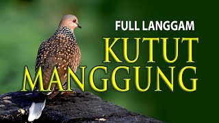 FULL LANGGAM KUTUT MANGGUNG CAMPURSARI KONDANG MURAH