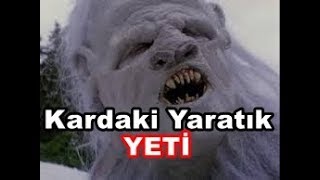 Kardaki Yaratik (YETİ)