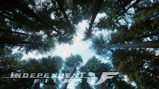 The Tree of Life