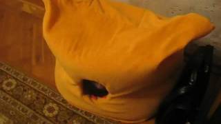 crazy Cat's house