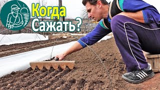 Когда сажать рассаду Когда сеять рассаду: помидор, перца, баклажан, капусты В парниках и без
