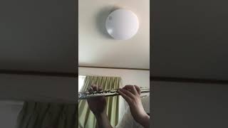 フルート 初心者 いつも何度でも