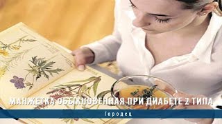 Манжетка обыкновенная при диабете 2 типа