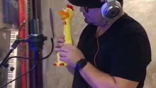 Galinha de borracha cantando brega